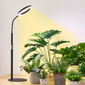 6-inch angel ring retractable floor grow light with adjustable stand for indoor plants