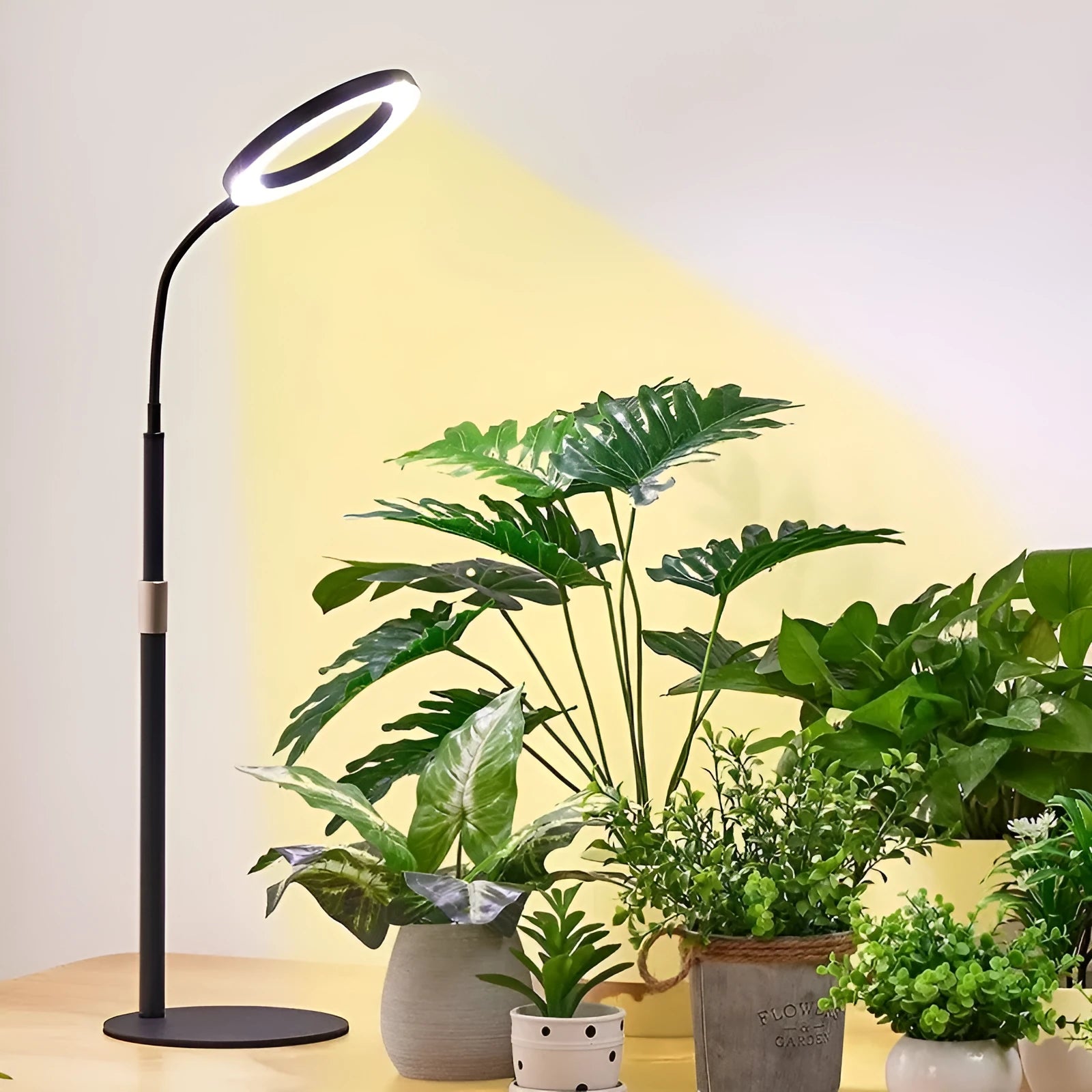 6-inch angel ring retractable floor grow light with adjustable stand for indoor plants