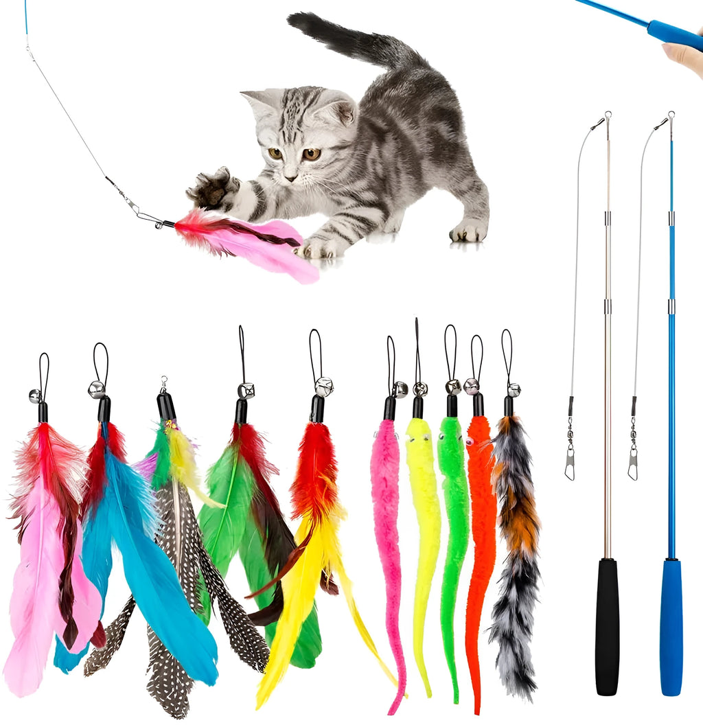 Handheld cat teasing fishing rod set with two poles and a selection of feather heads.