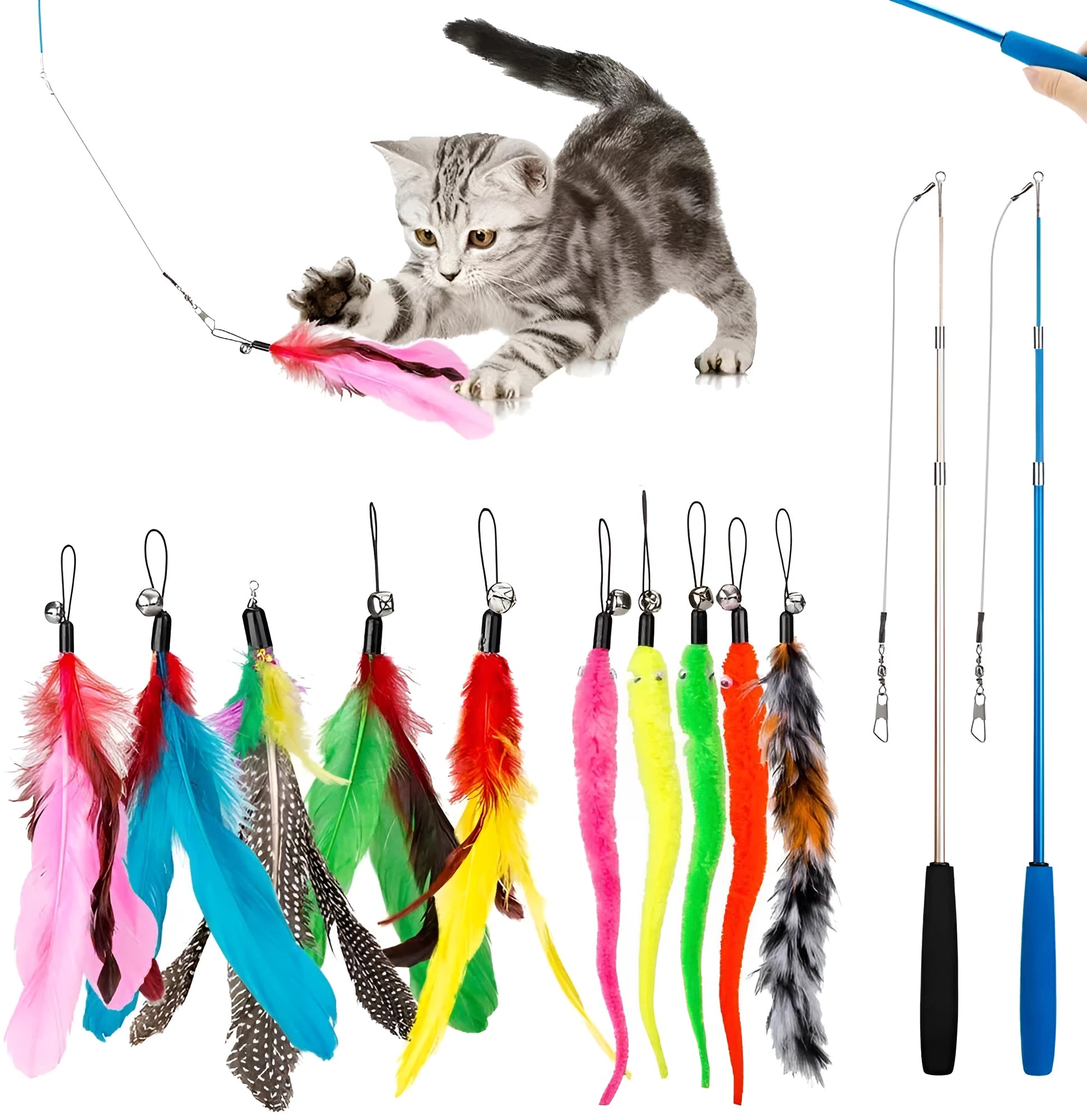 Handheld cat teasing fishing rod set with two poles and a selection of feather heads.