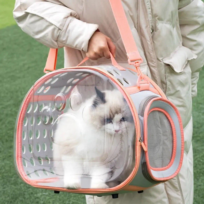 Transparent hard-shell cat backpack carrier with space capsule design in multiple colour options