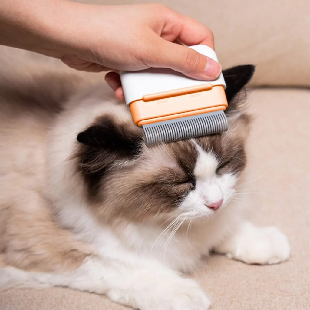 Blue double-sided pet comb for grooming and removing tangled fur from cats and dogs.