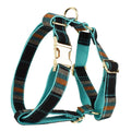 Green retro pet collar set with matching bow and dog vest on a light background