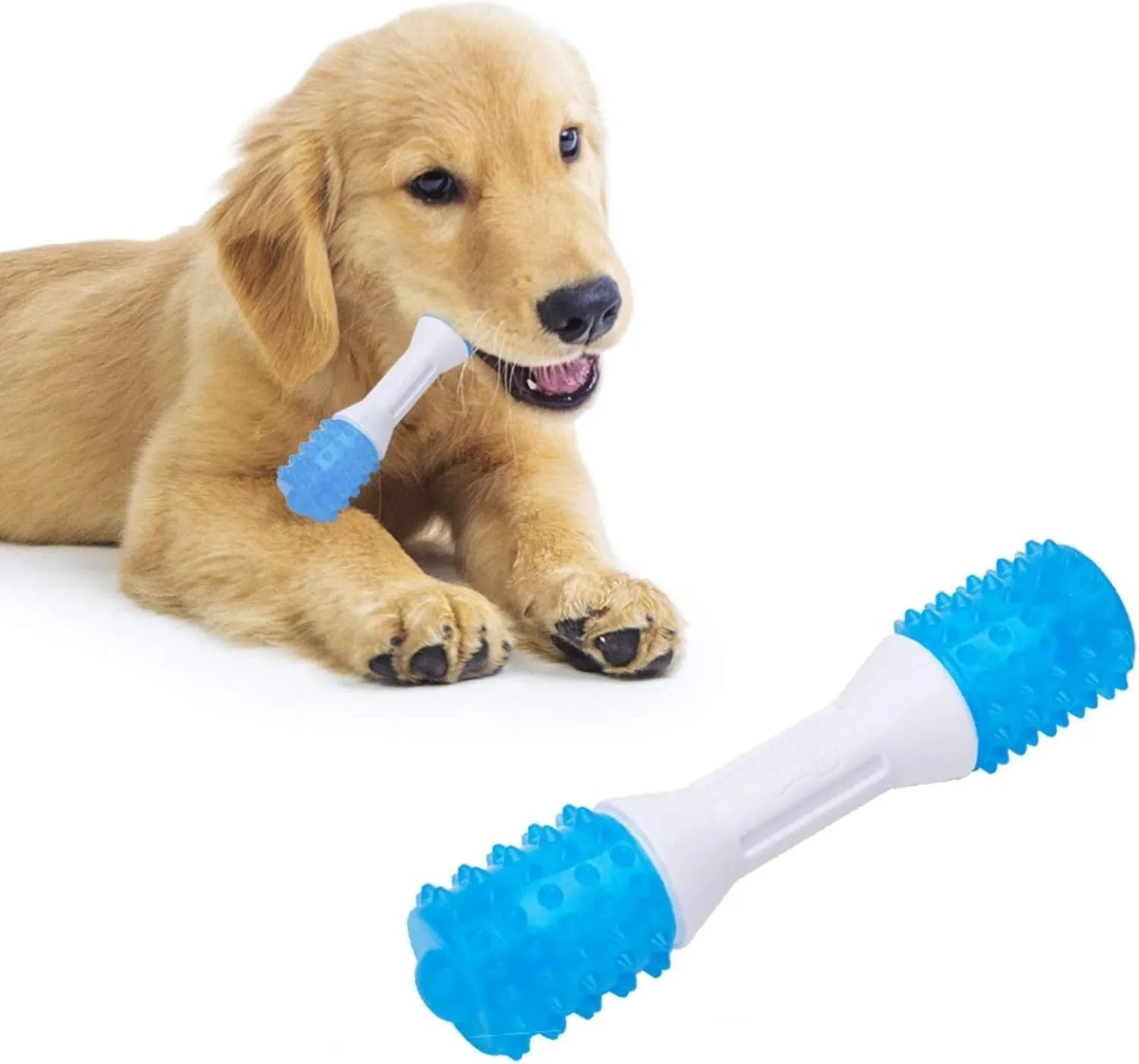 TPR rubber puppy teething chew toy in dual colours for gentle chewers with three size options