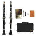 Black Bakelite clarinet with nickel-plated keys and carrying bag for beginner musicians