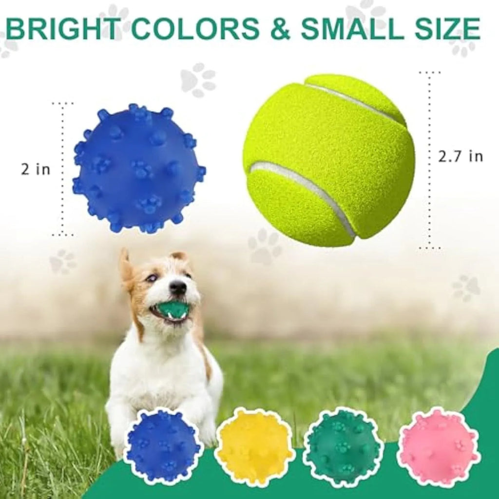 Bright colour spiked dog toy balls with paw print dimples for small breed chewing and fetch games
