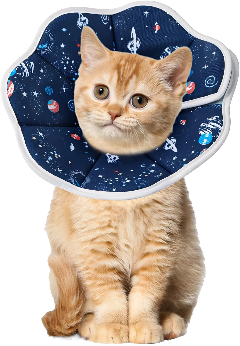 Soft cat recovery collar breathable waterproof adjustable S M size for small medium cats kittens