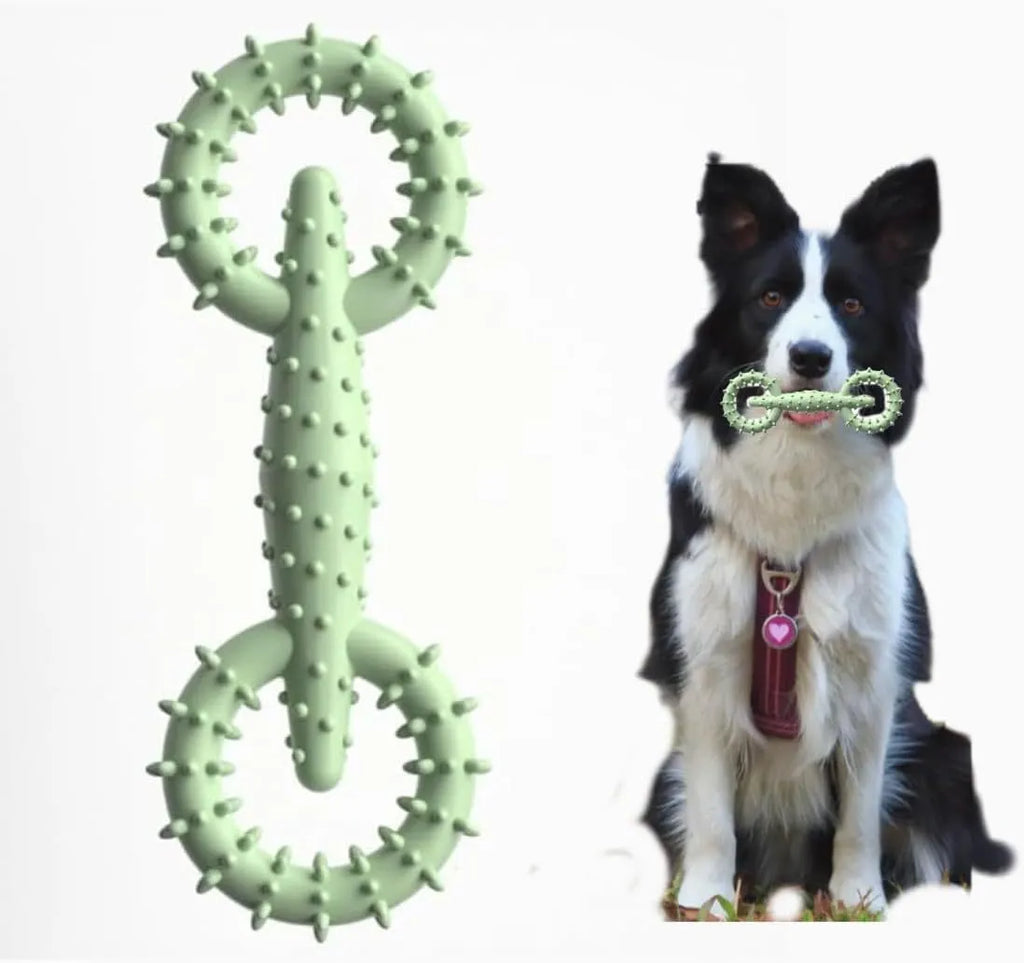 Blue TPR rubber dog chew ring toy for puppy teething, 16 cm diameter.