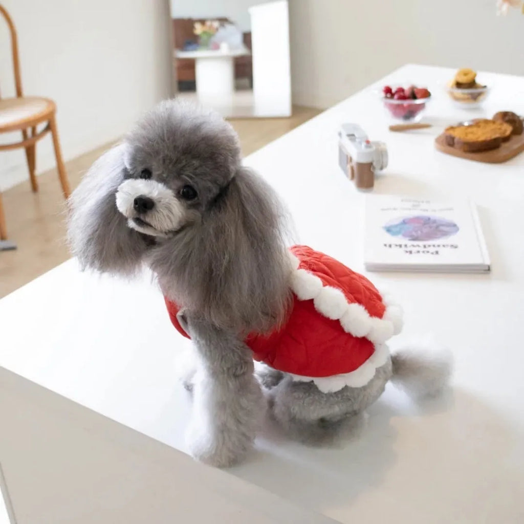 Red Chinese-style pet clothing with fur collar and Chinese knot for autumn winter for dogs and cats