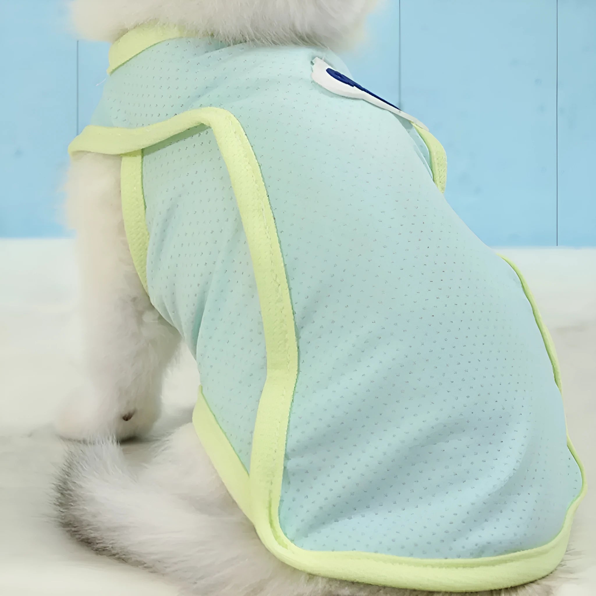 Lightweight polyester summer vest for cats in grass green or taro purple, sizes XS to 2XL