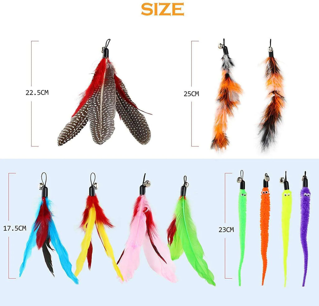 Handheld cat teasing fishing rod set with two poles and a selection of feather heads.