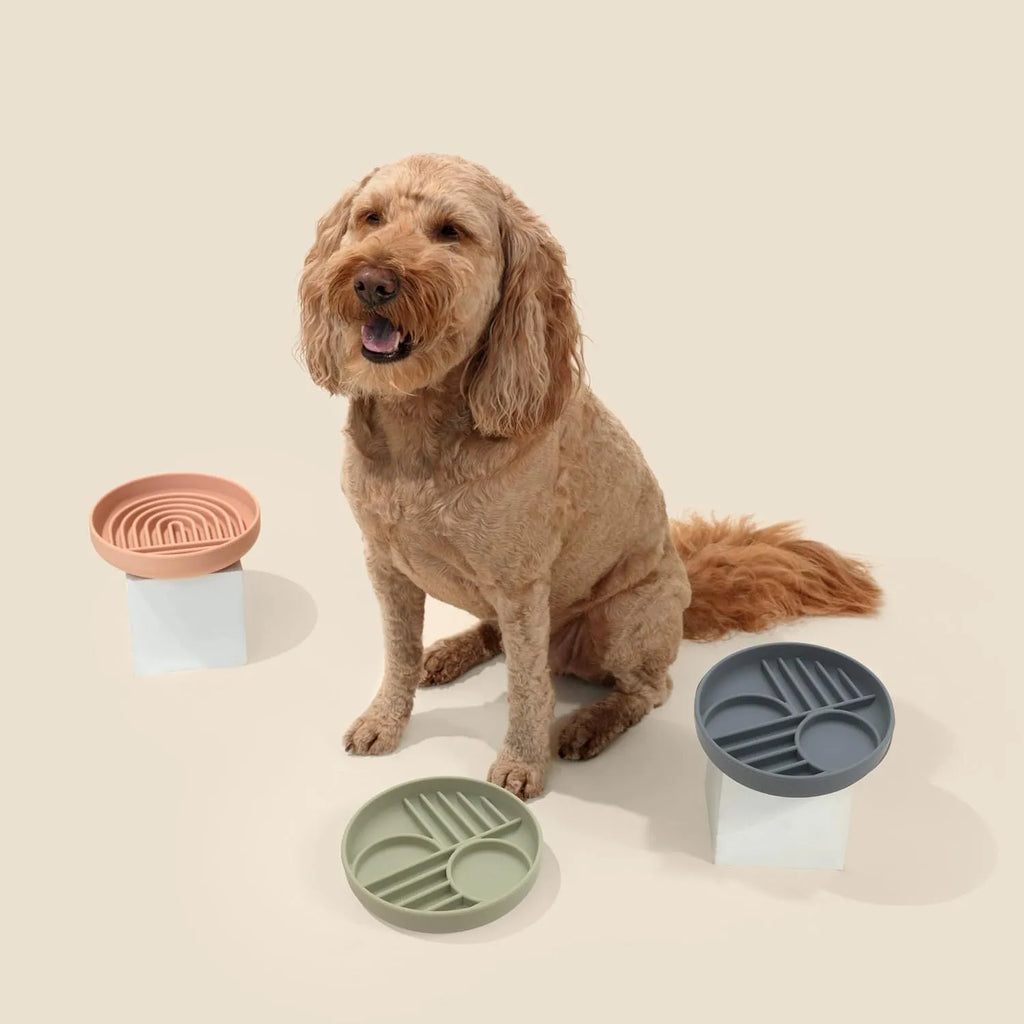 Silicone slow feeder dog bowl with ridges in assorted colours