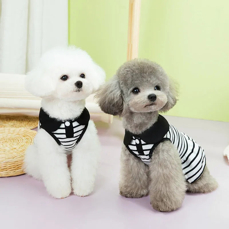 Dog wearing cotton summer stripe T-shirt and skirt outfit in 24 love couple's tops colour