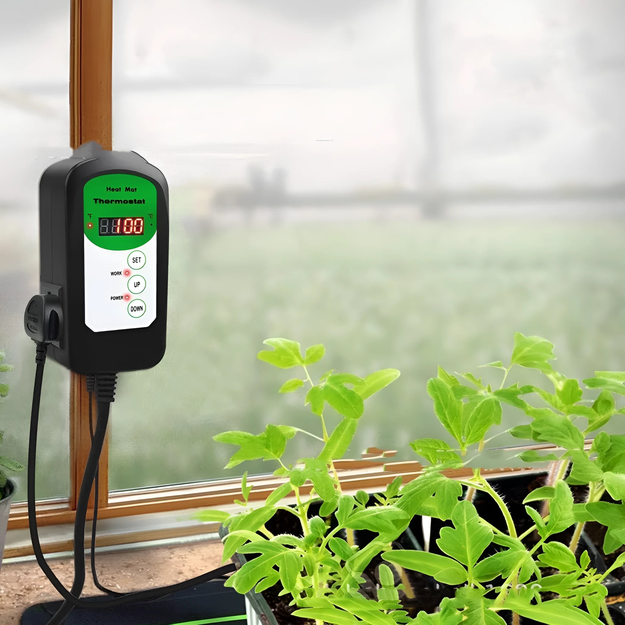 Simple household digital display temperature and humidity controller BH1912020 with clear front panel showing readings