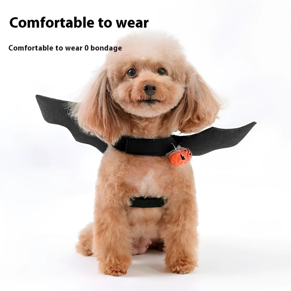 Black wings Halloween felt pet costume on a small cat with a bell accessory