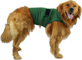 Dog wearing anxiety relief tank top in brocade cotton fabric