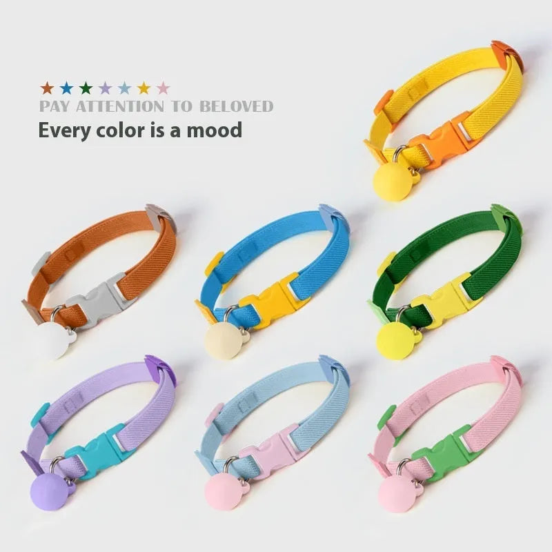 Small elastic dog collar in polyester, shown in various colours including yellow, pink and sky blue.