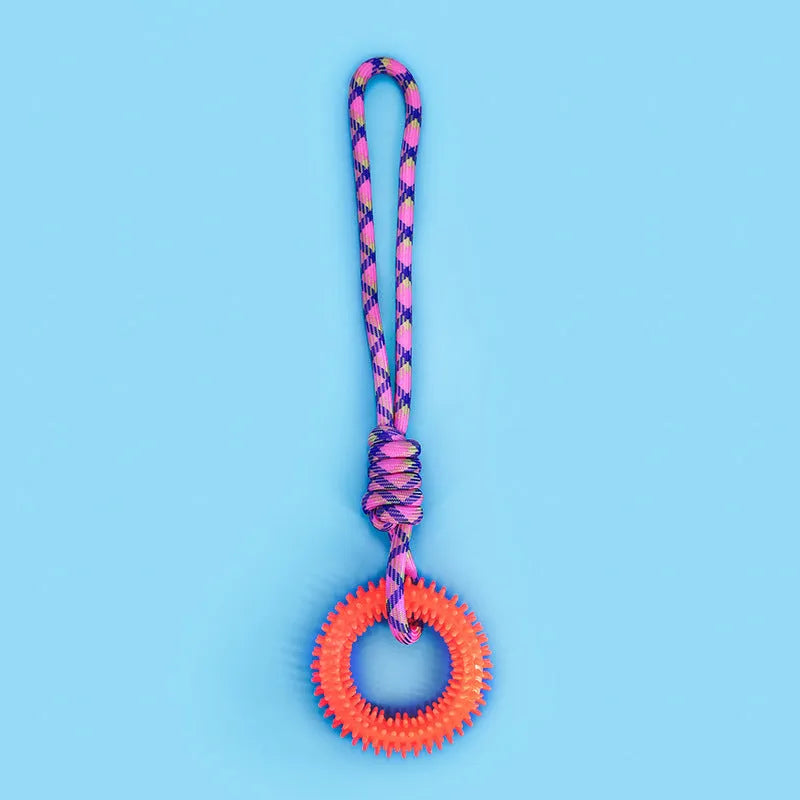 Blue braided rope dog chew toy with knots, measuring 43cm long