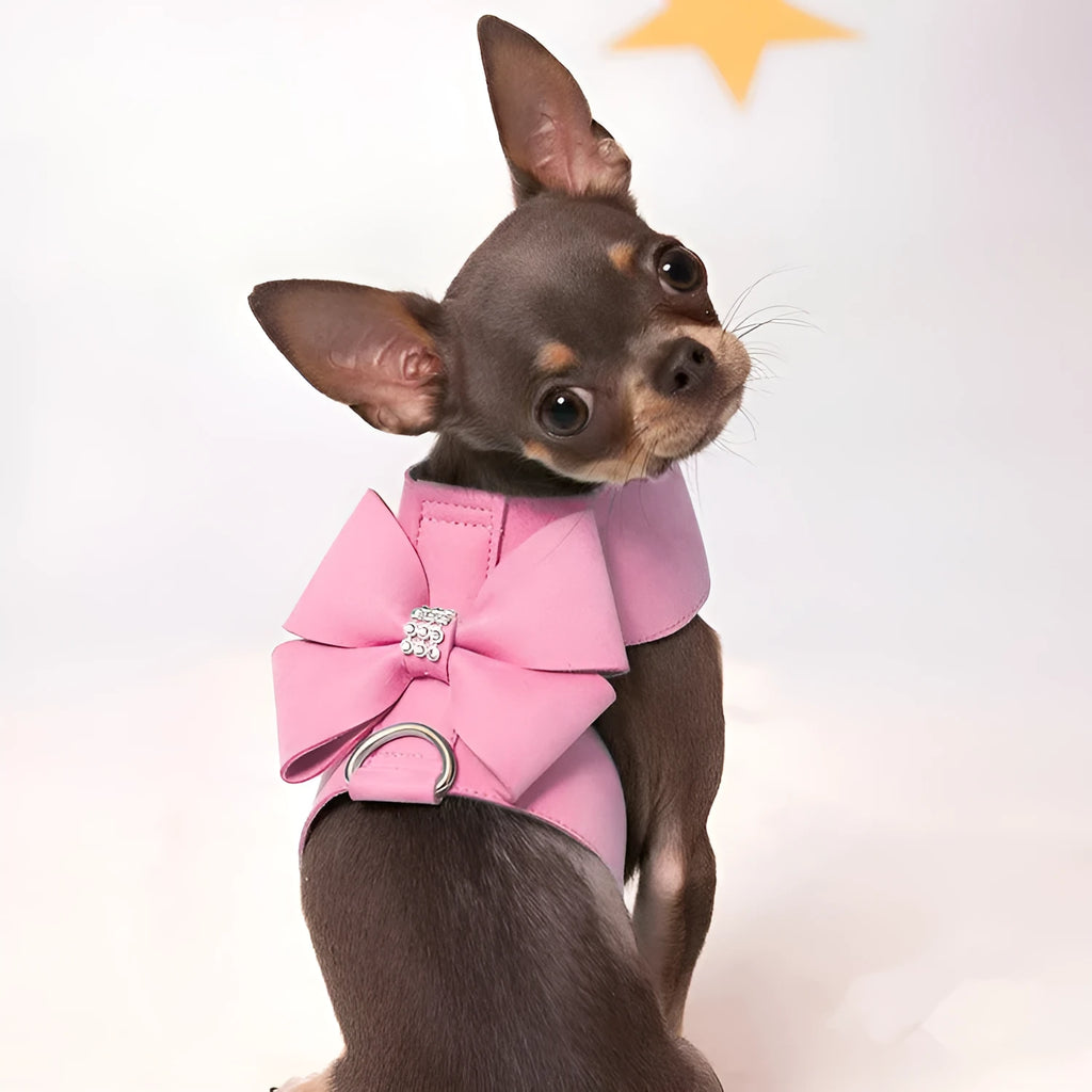 Microfiber dog chest strap harness with decorative bowknot in blue, orange, and pink colour options