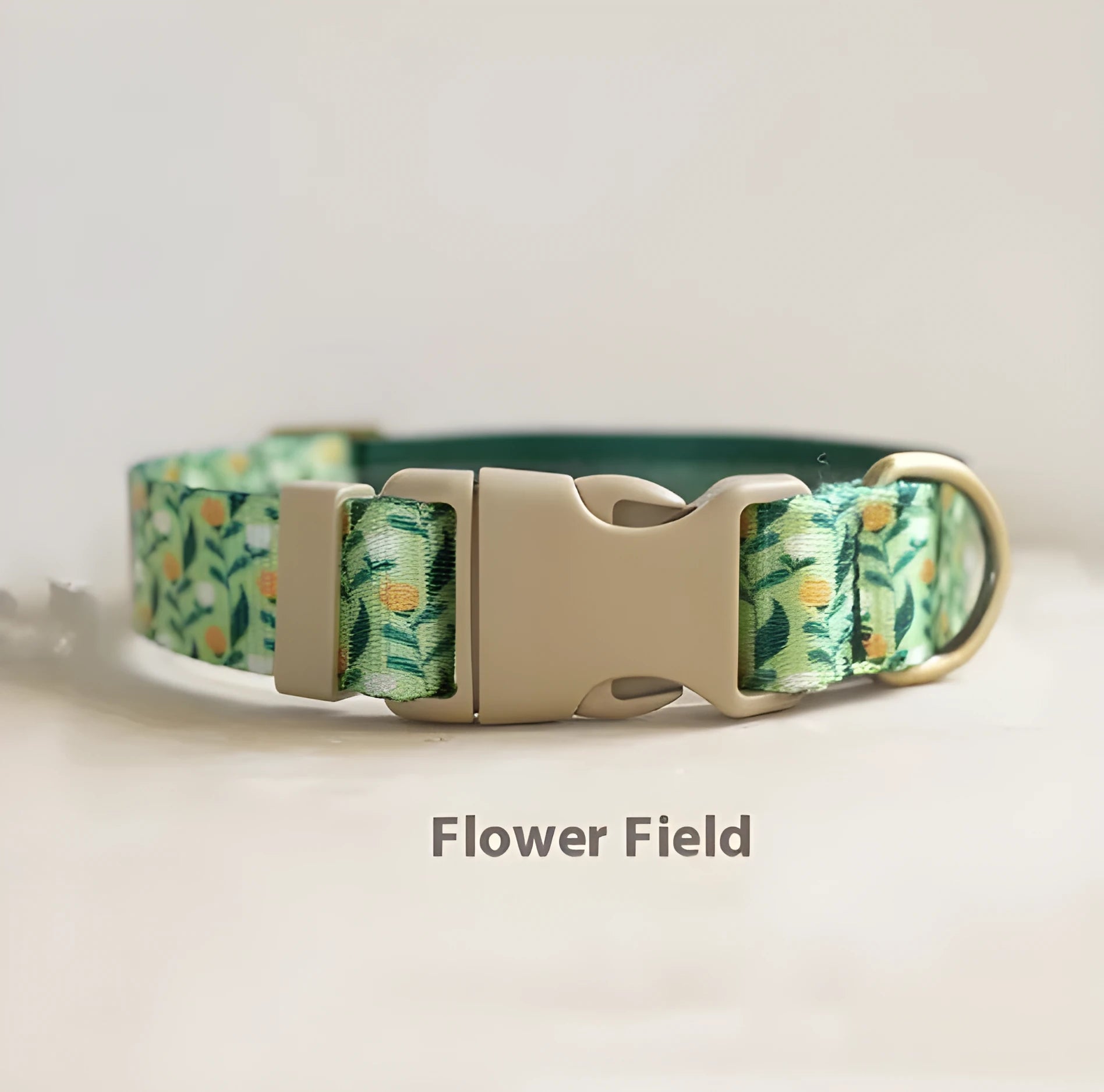 Nylon ribbon pet collar with flower pattern in Hanada colour on a small cat