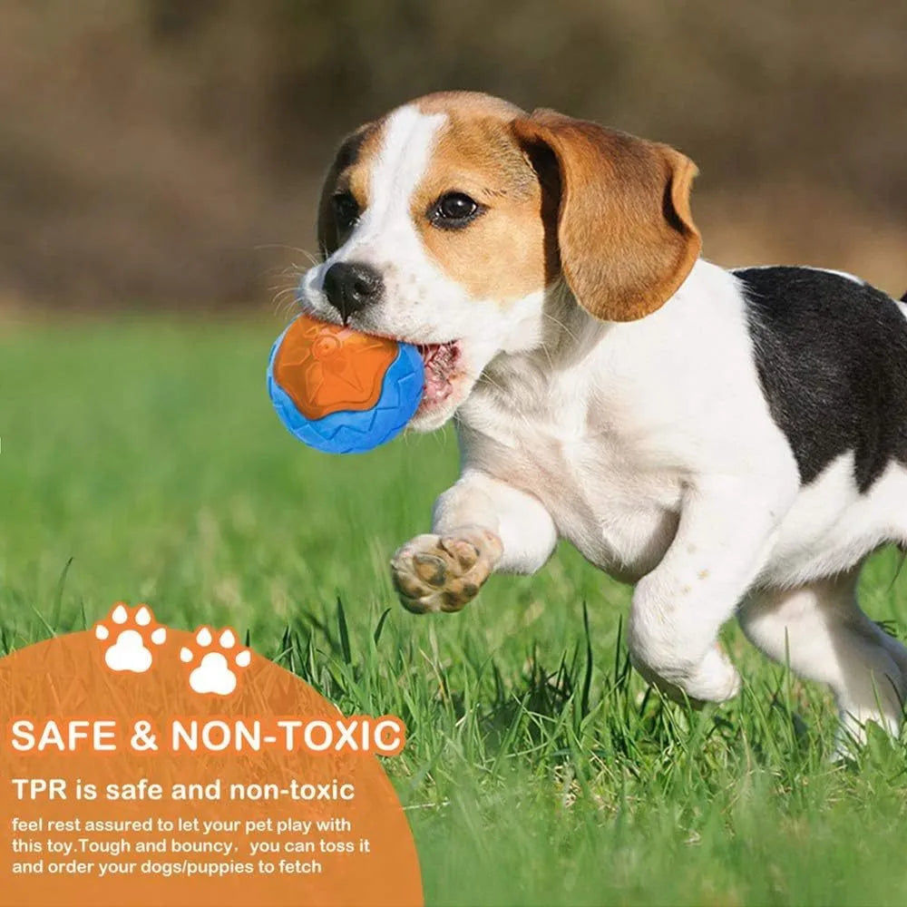 Set of three floating squeaky dog toys: a red ball, a blue barbell, and an orange tyre.