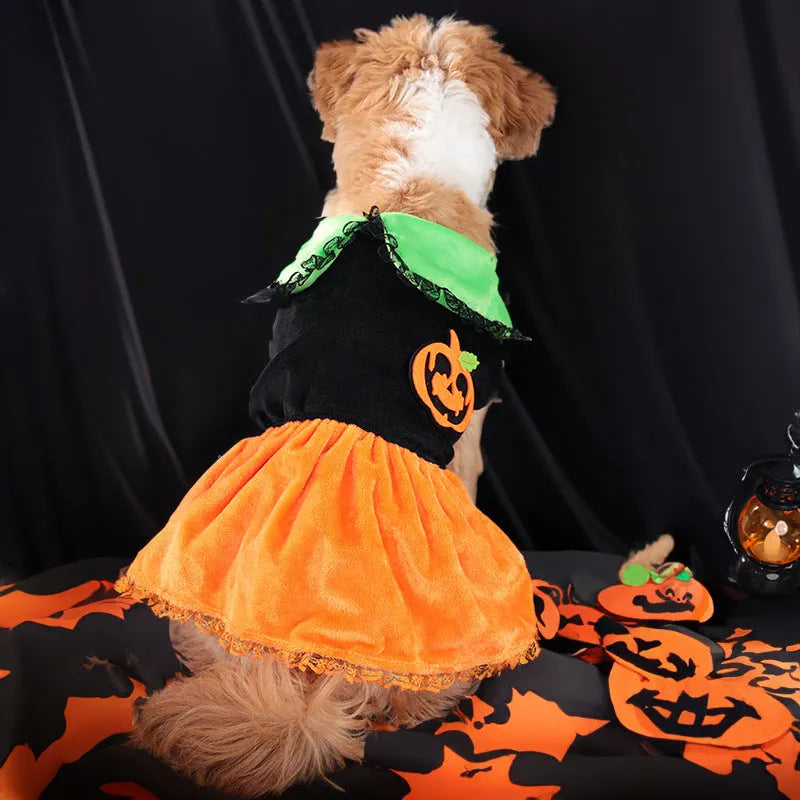 Halloween pumpkin skirt and sweater pet costume for dogs and cats in crystal velvet material
