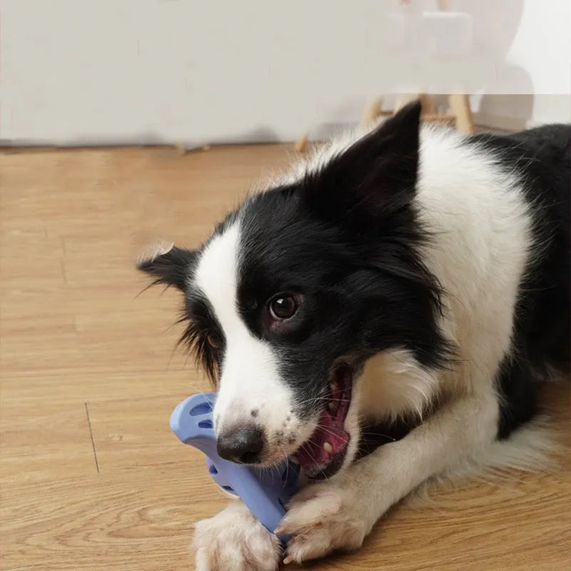 Blue or purple boomerang-shaped bite-resistant chew toy for medium and large dogs.