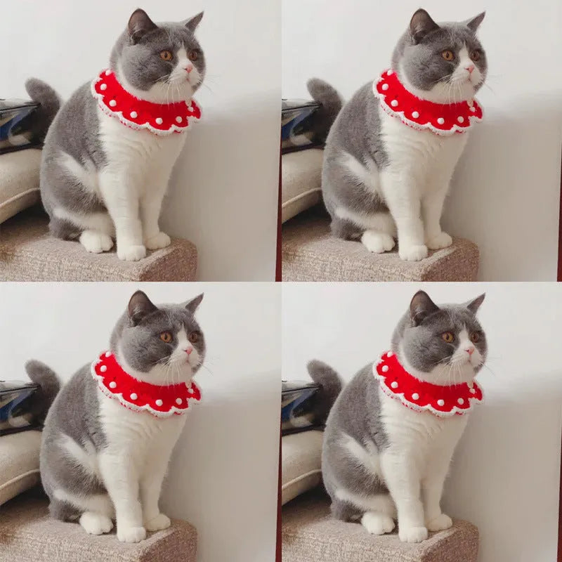 Hand-knitted wool blend collar scarf for a small dog, showing a cartoon pattern and soft texture.