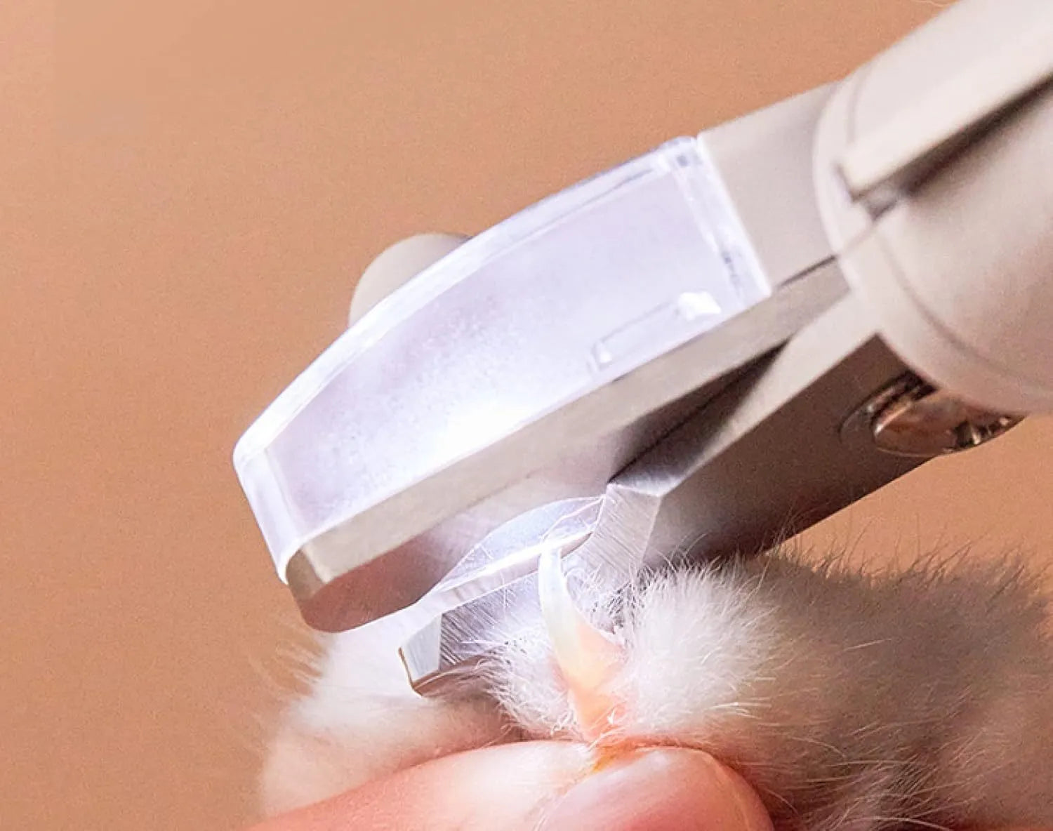 White pet nail clippers with LED light, triangular blade, and transparent anti-splash guard