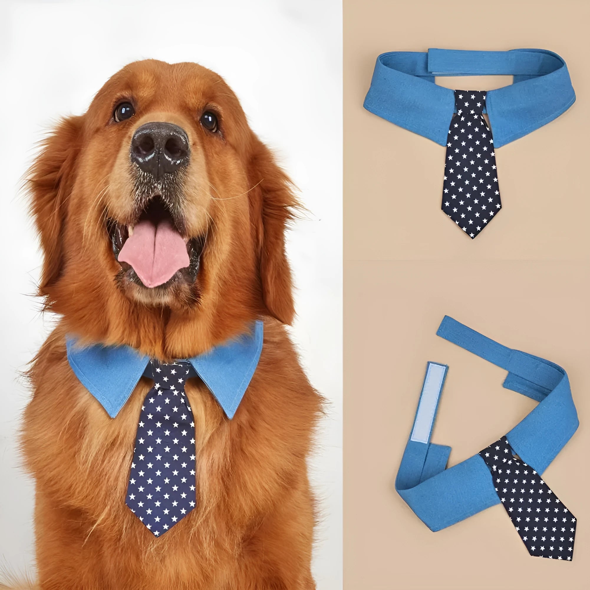 Adjustable denim star pattern dog collar with fastener tape on white background for weddings and formal events