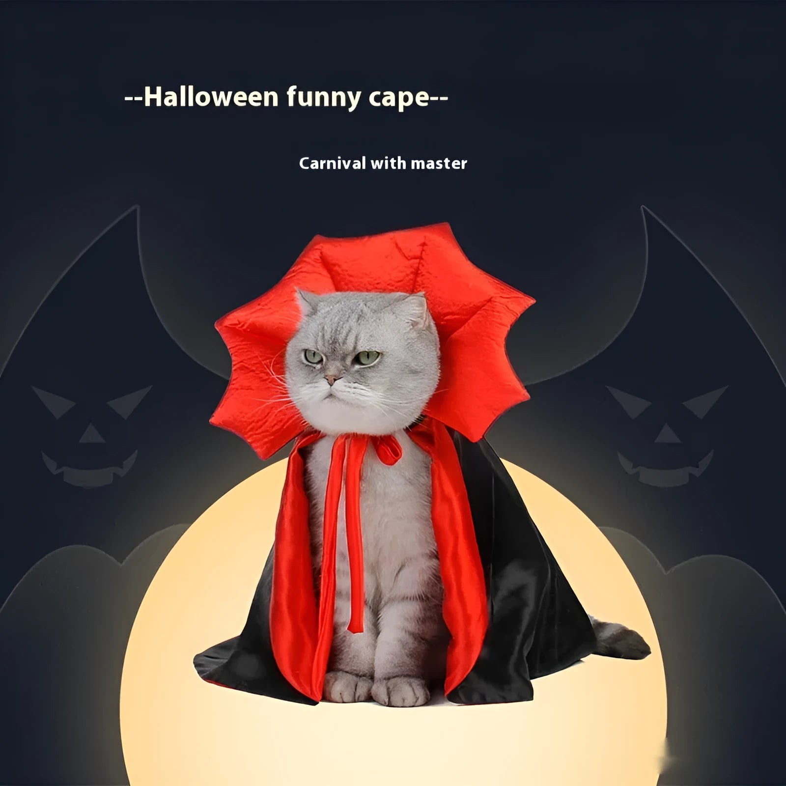 Black and red Halloween costume for pet cat or dog with European American style design