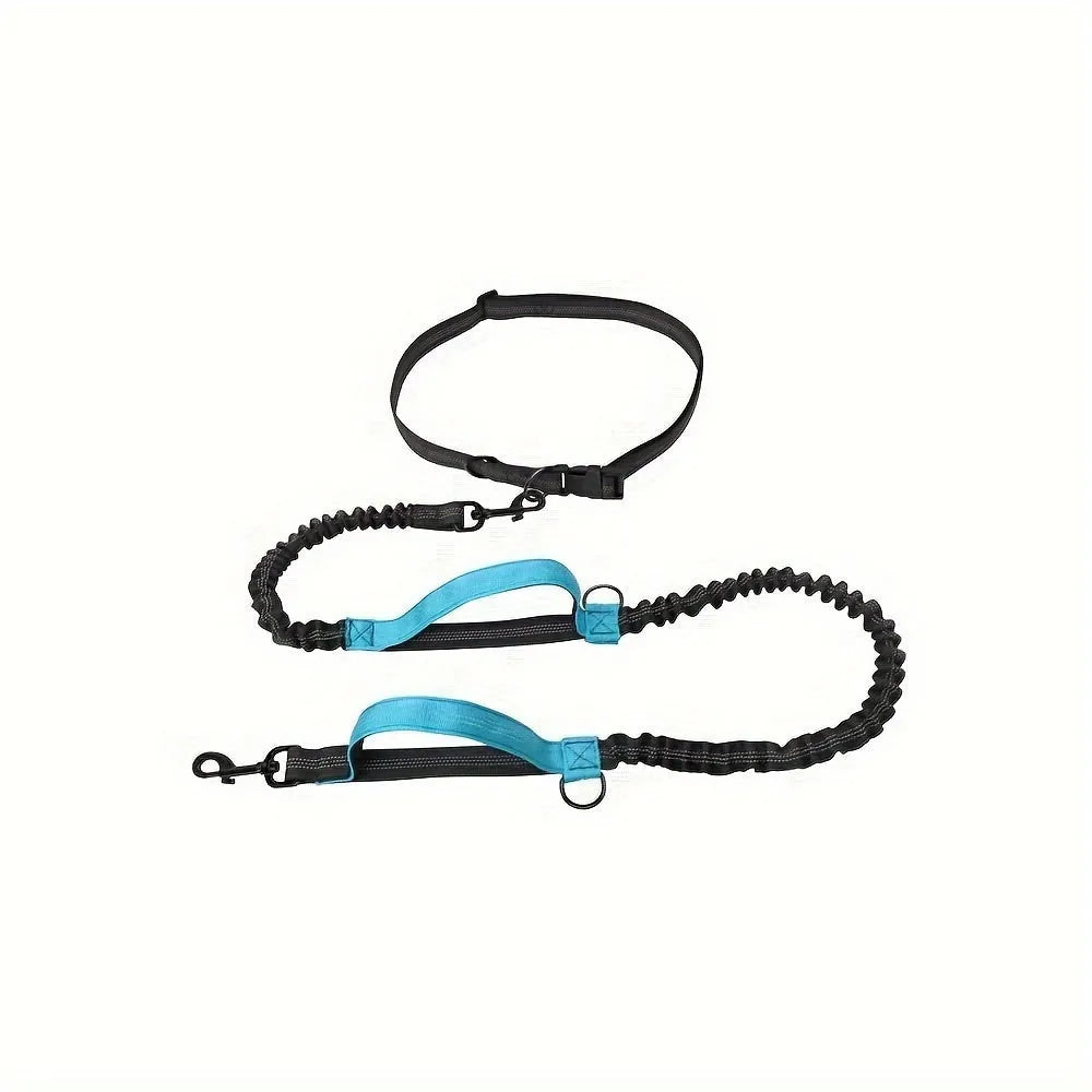 Hands-free dog leash with durable nylon construction and adjustable black waist belt for running and walking