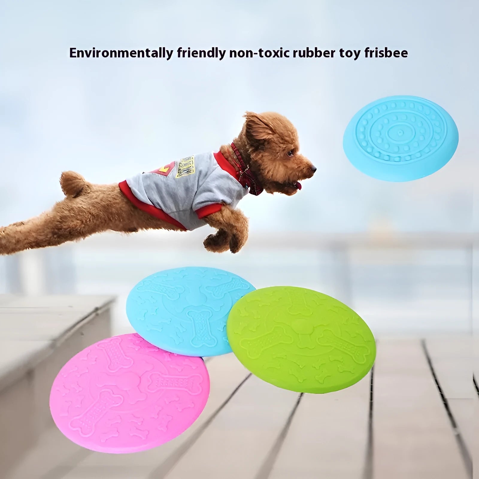 Pet dog toy rubber disk frisbee in plastic, available in small and large sizes with multiple colours