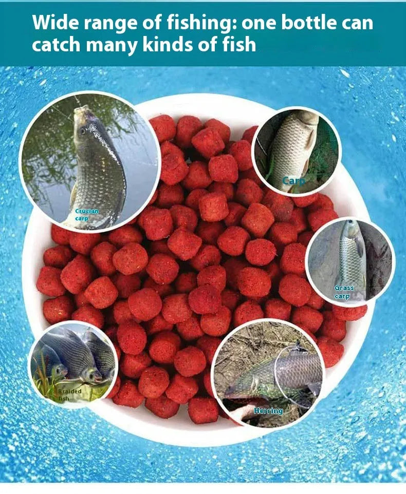 Fishing bait bottle for crucian carp and grass green fish in fresh red colour for wild freshwater fishing