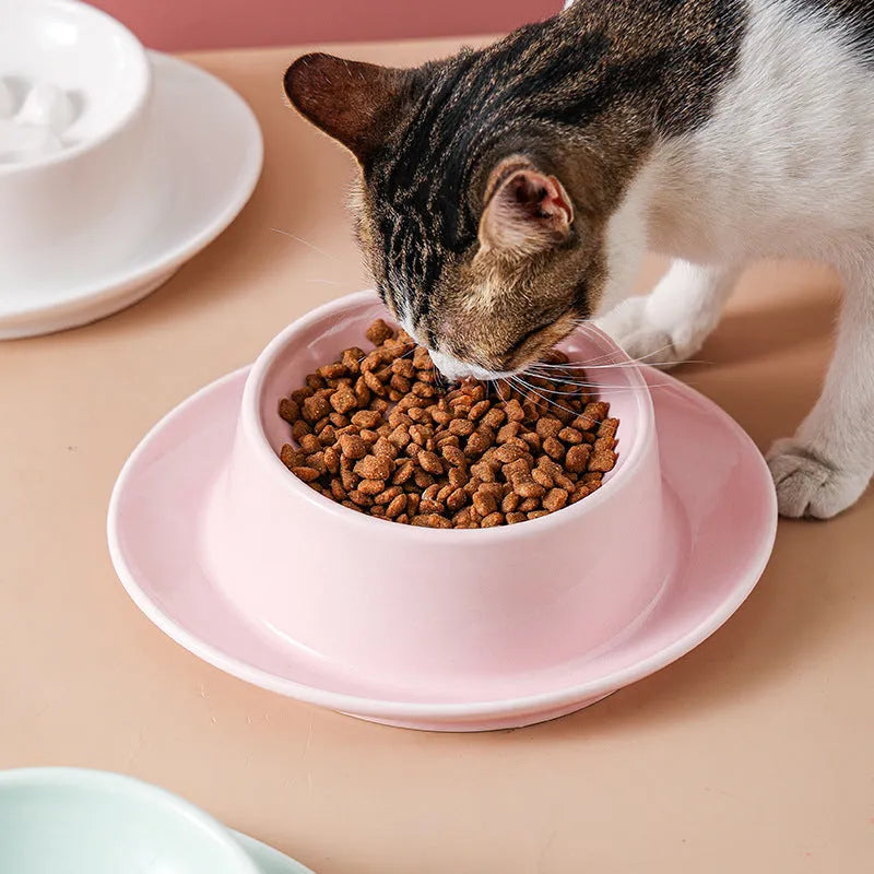 Ceramic anti-choking slow food pet bowl in green with raised centre design