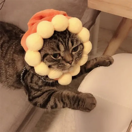 Sunflower cat hat cloth embroidery free size pet headgear on a cat