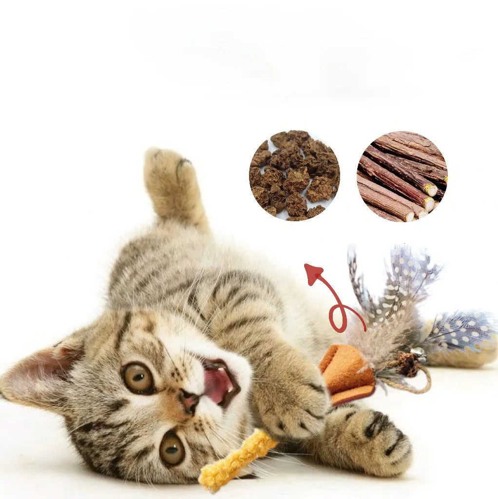 Green polygonum wood feather stick cat toy with gall fruit accent on white background