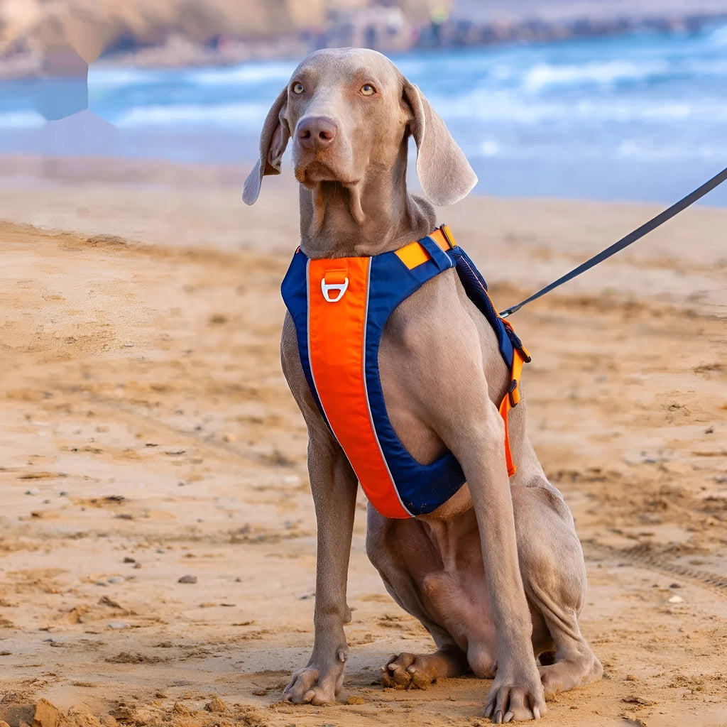 Orange blue nylon dog chest strap vest with single chest back design and adjustable straps