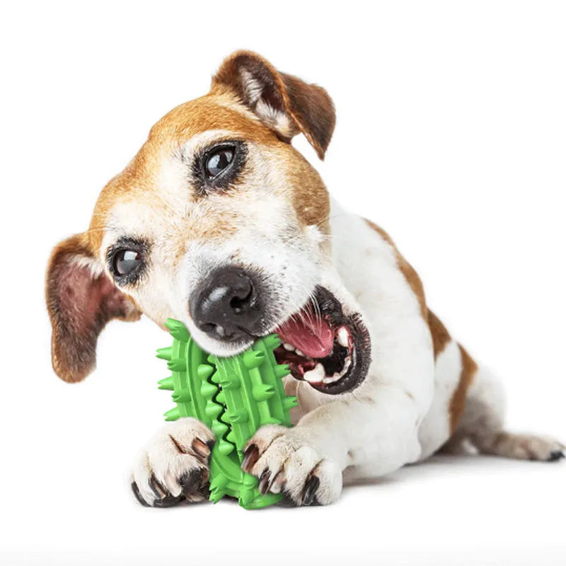 Green cactus-shaped dog chew toy with textured bumps for dental care on a white background