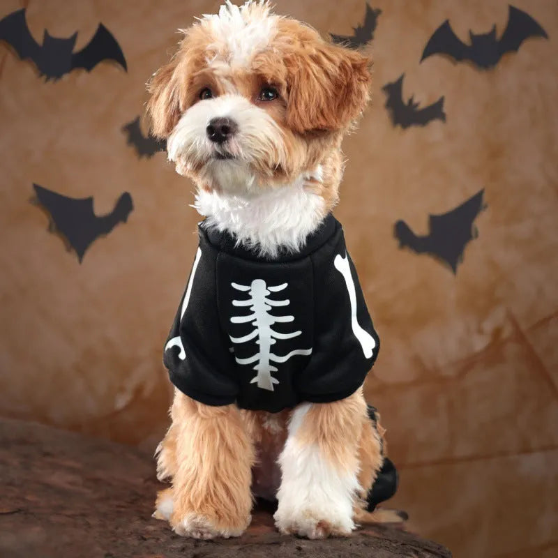 Halloween pet clothing with luminous skull bones design in milk silk fabric on a light background