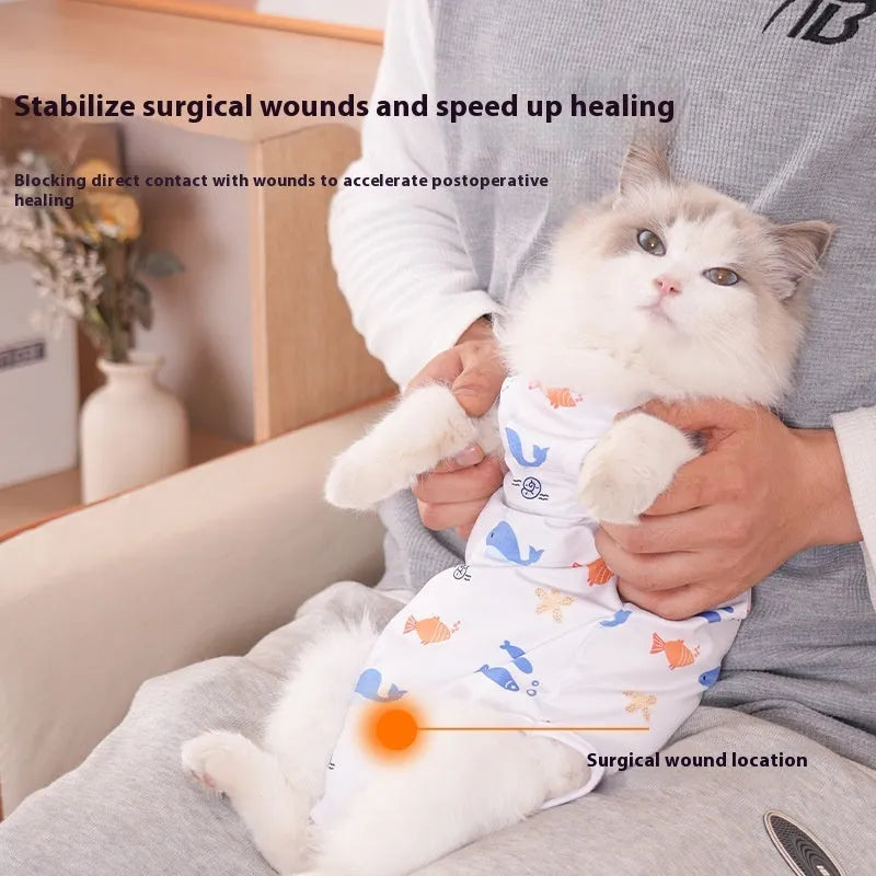 Cat wearing a soft blue post-operative recovery suit with Velcro fastenings on its back.
