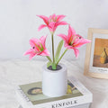 Rechargeable LED lily flower pot lamp in lily-pink colour, flower shape, on tabletop