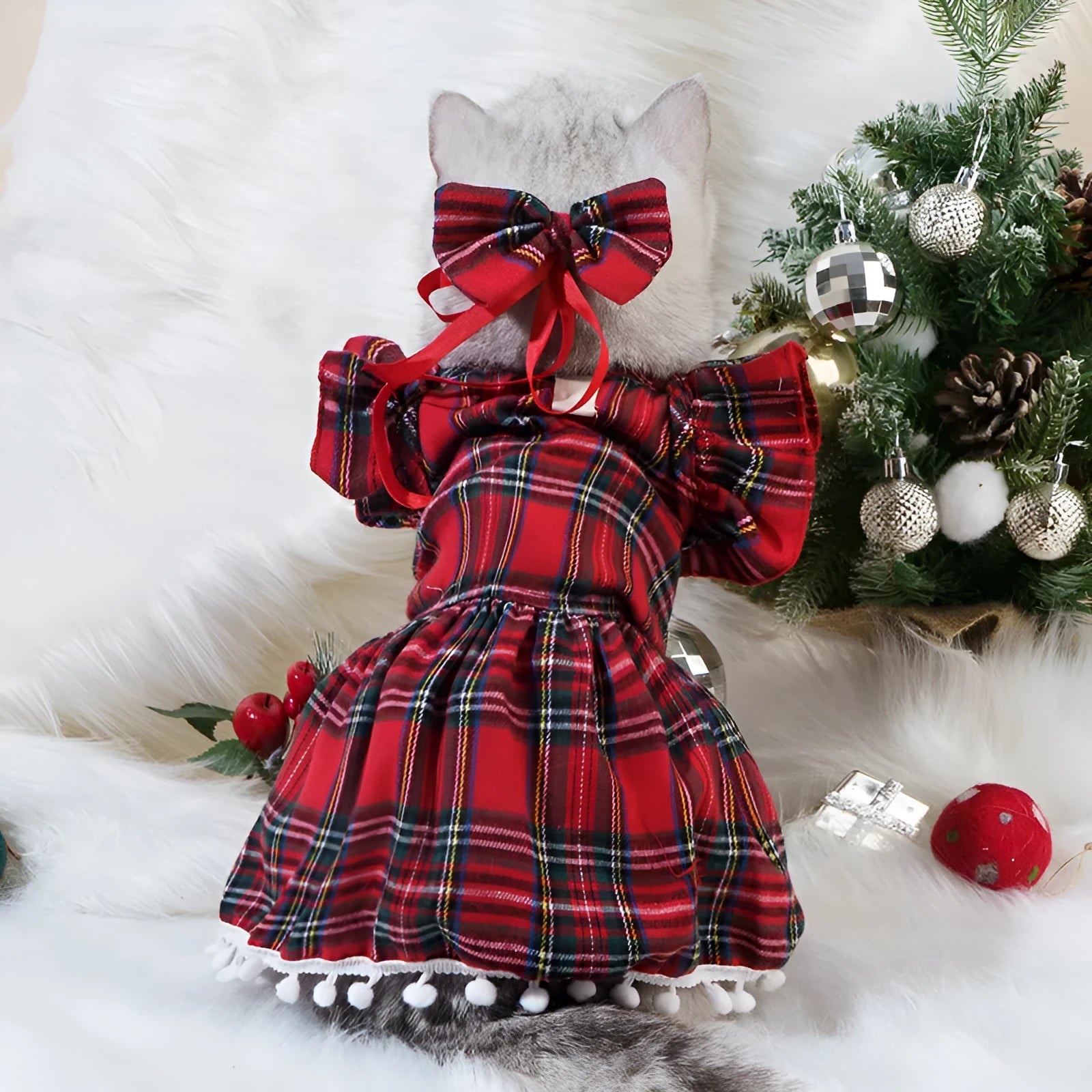 Red Christmas tartan skirt on a cat with matching bow tie and head flower, available in sizes XS to XL