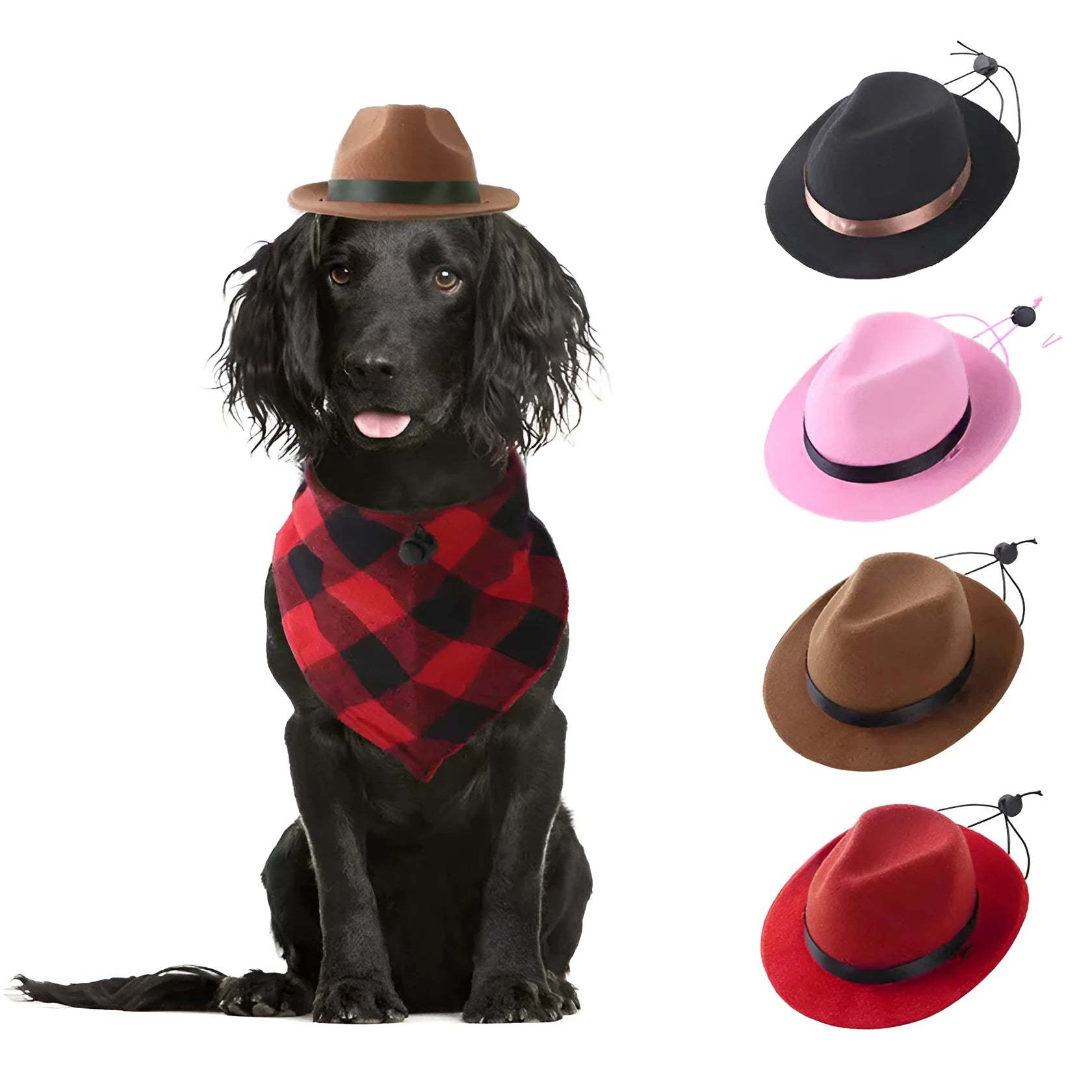 Wool felt mini sun hat for pets in black, brown, pink, or red with 155cm diameter.