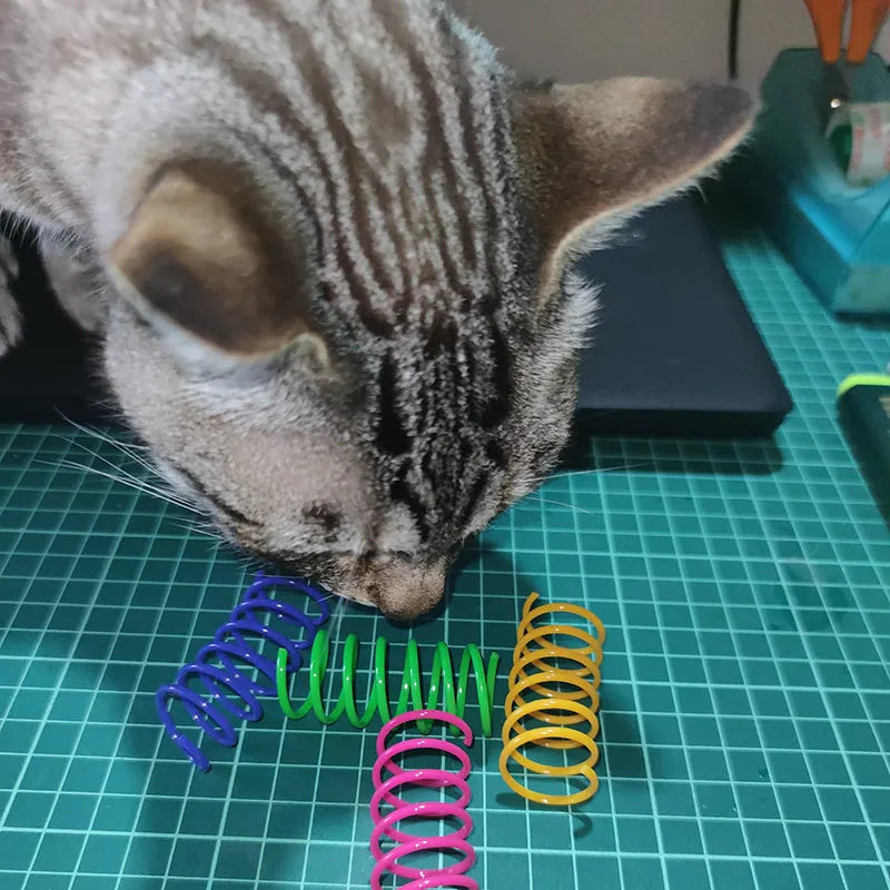 Plastic cat spring toy coil spiral in assorted colours, 5.5cm length, 4 or 8 pack, heavy gauge