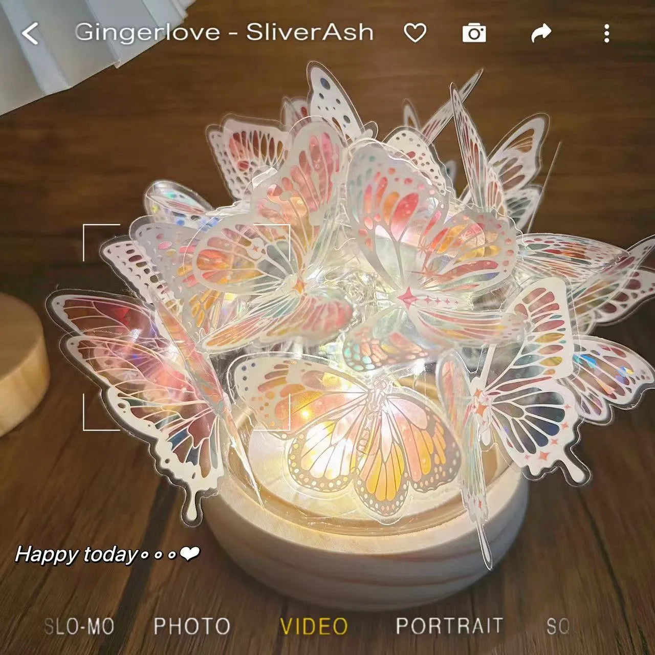 Butterfly night light with glass shade on raw wood base, measuring 12x15cm