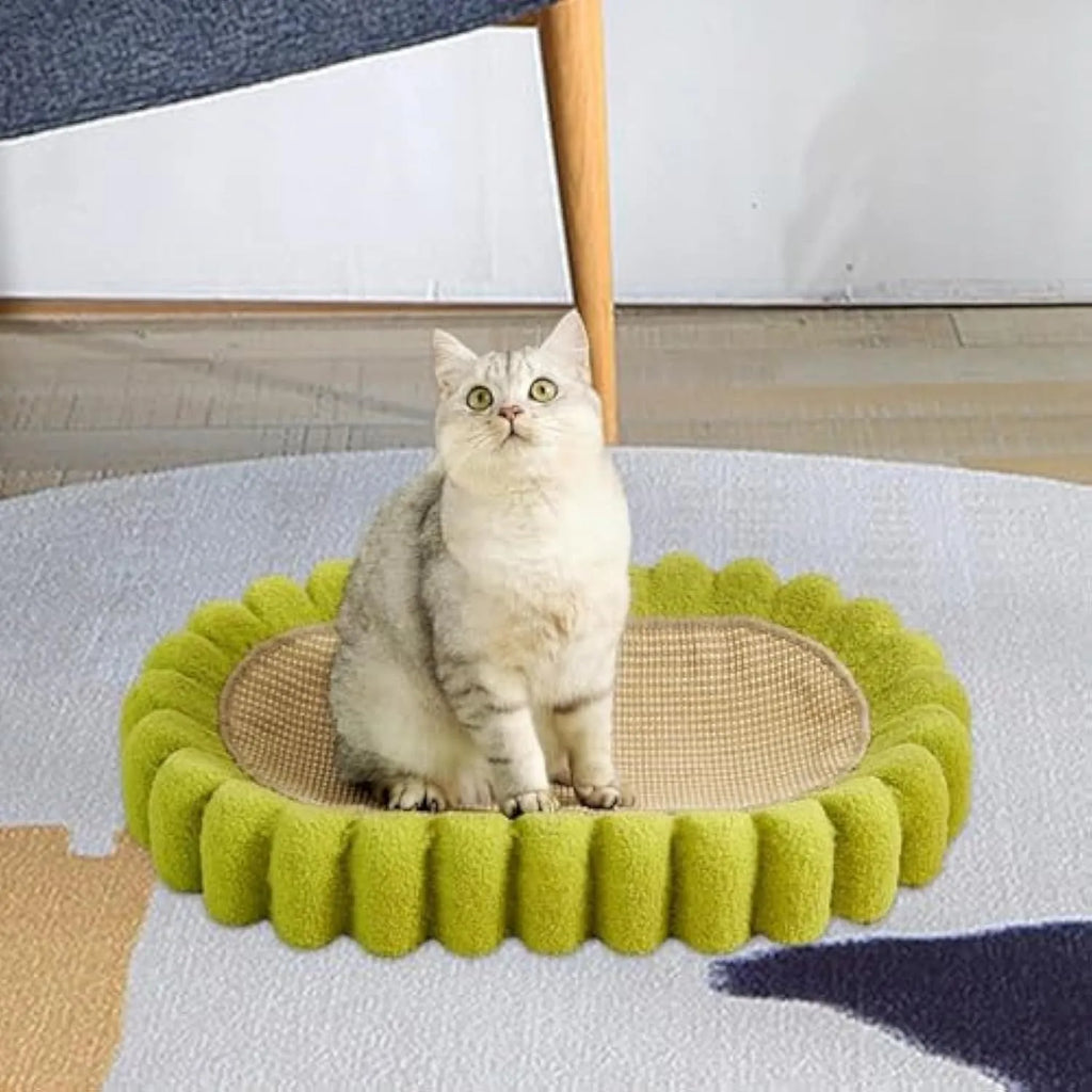 Green oval cat scratch pad bowl made of sisal, serving as a cat scratcher and bed lounge