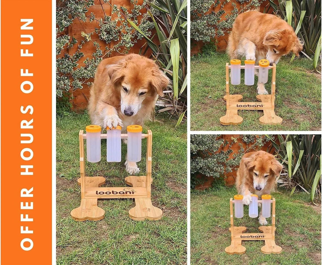 Wooden dog puzzle toy measuring 31x30x20cm with interactive snack dispenser design