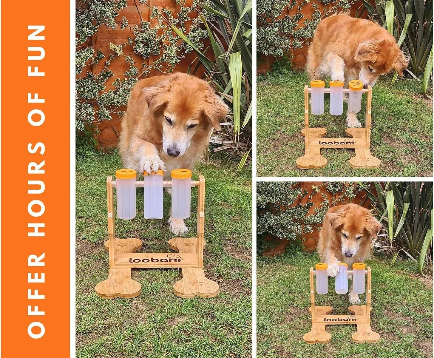 Wooden dog puzzle toy measuring 31x30x20cm with interactive snack dispenser design