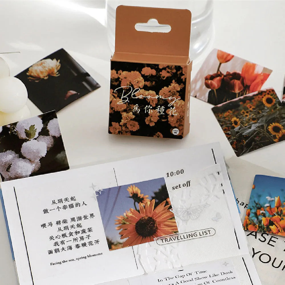 Nordic nature decorative stickers box showing mountain, sea, sunshine and floral patterns in square 44mm format